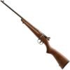 Savage Arms Rascal Compact 22 Long Rifle Blued Left Hand Bolt Action Rifle - 16.13in 3 A29 result